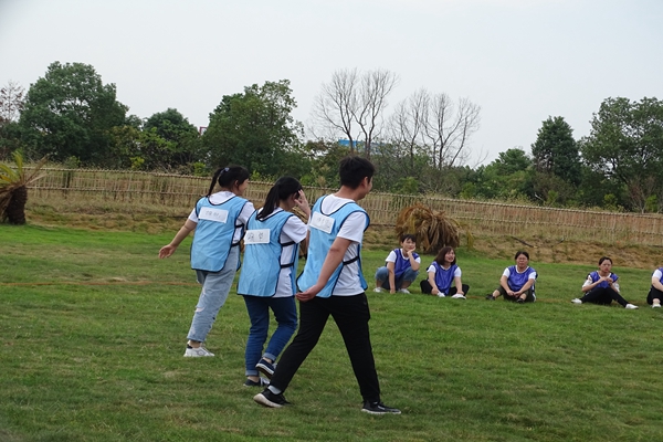 拓展训练有什么分类？